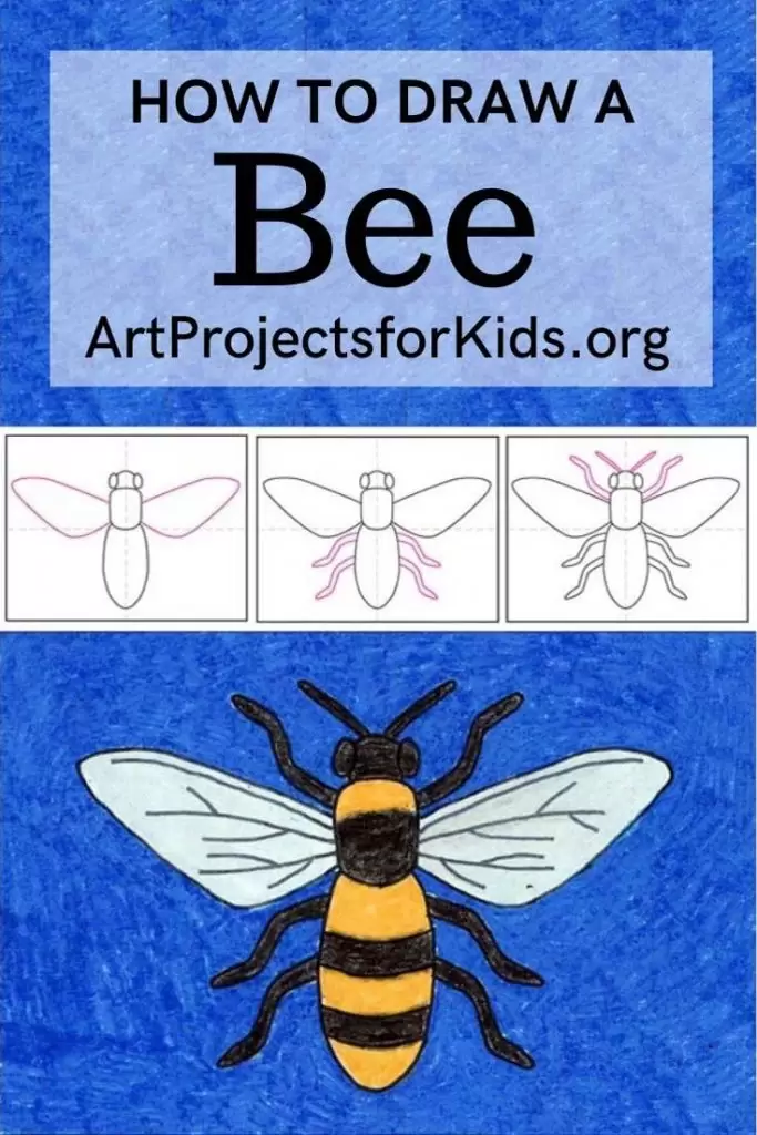 How to Draw Bee with the help of an easy step by step tutorial.