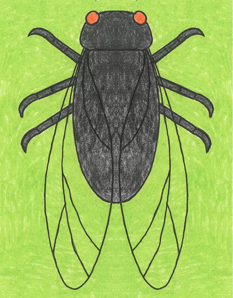Easy How to Draw a Cicada Tutorial and Cicada Coloring Page