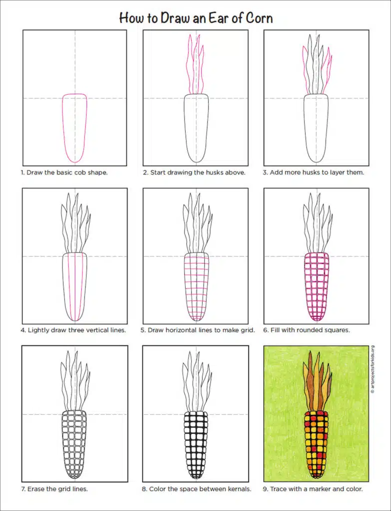 A step by step tutorial for how to draw an easy ear of corn, also available as a free download.