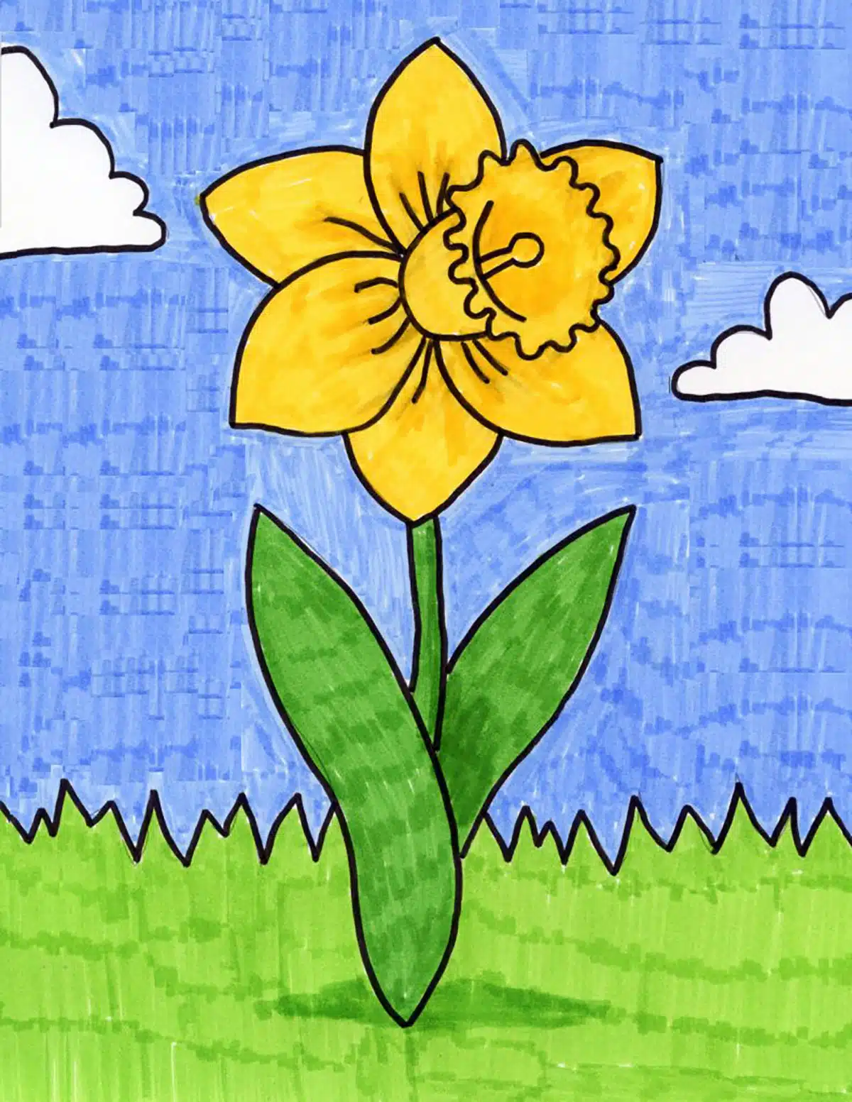 Easy How to Draw a Daffodil Tutorial Video and Daffodil Coloring Page