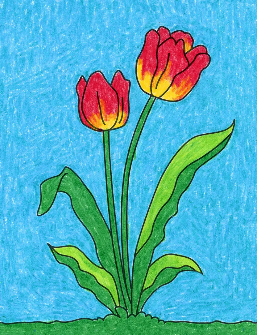 Easy How to Draw a Tulip Tutorial Video and Tulip Coloring Page
