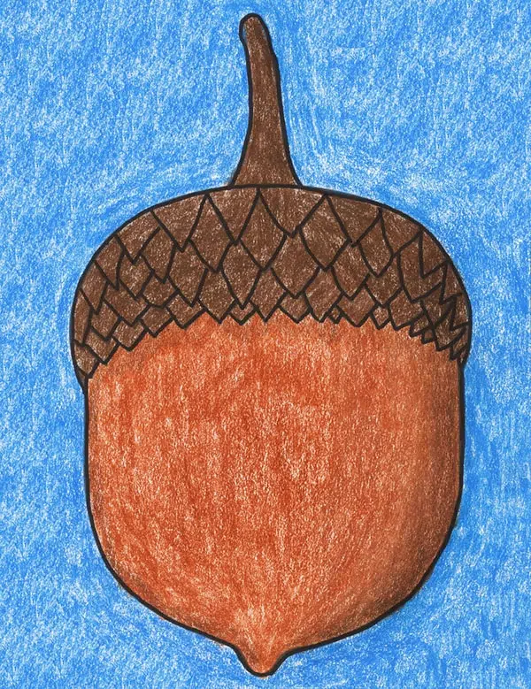 Easy How to Draw an Acorn Tutorial and Acorn Coloring Page