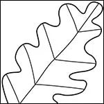 Leaf Coloring Page