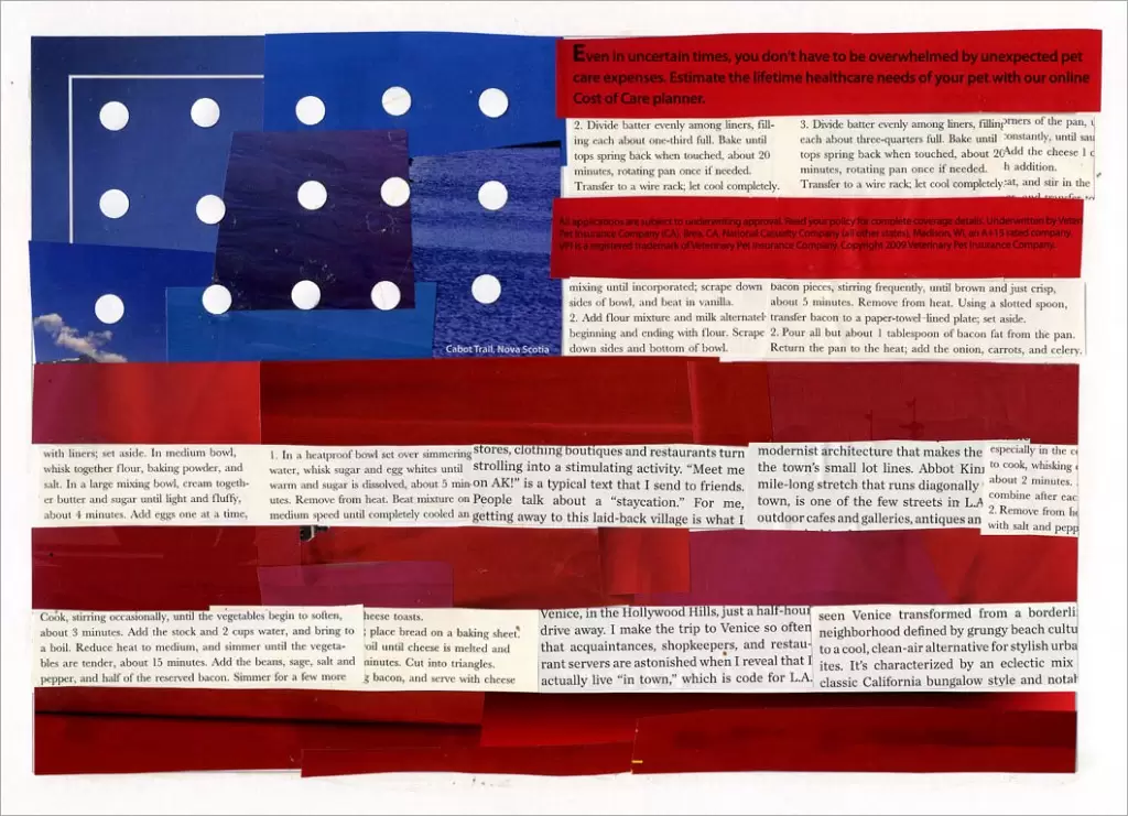 Faith Ringgold Flag Project